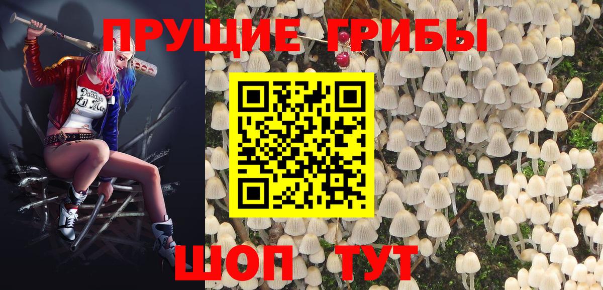 Галлюциногенные грибы мухоморы Курчатов