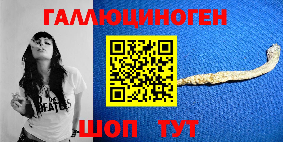 Курчатов  Галлюциногенные грибы GOLDEN TEACHER  Вход с VPN 