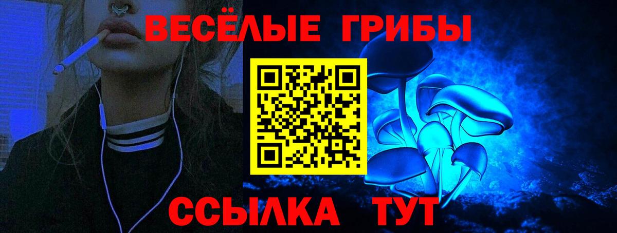 Лсд 25  А ПВП СОЛЬ кристаллы  ГАШ  АМФ   Меф   Меф МЯУ МЯУ  Вход с VPN  Курчатов  Марихуана  ГАШ 